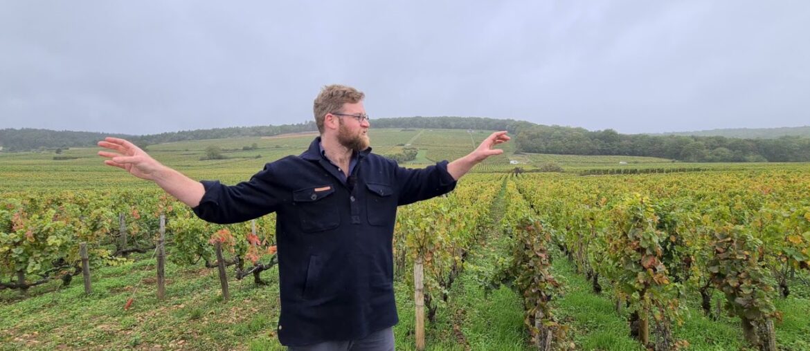 Gevrey Chambertin 1er Cru 'Les Combottes' - The French Wine Centre