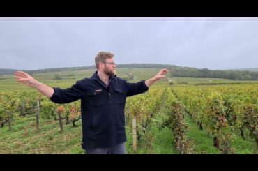Gevrey Chambertin 1er Cru 'Les Combottes' - The French Wine Centre