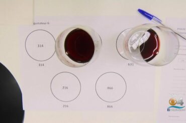 Scientists Pouring Over Results Of Experiment To Blast Wine Into Space