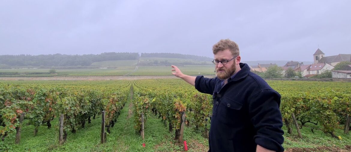 Morey St. Denis 1er Cru Les Ruchots - The French Wine Centre