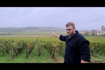 Morey St. Denis 1er Cru Les Ruchots - The French Wine Centre