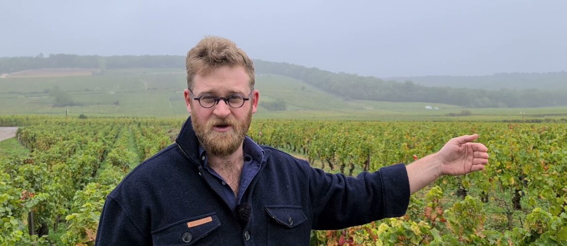 Morey St. Denis 1er Cru 'Aux Charmes' - The French Wine Centre