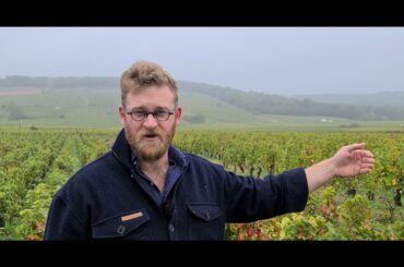 Morey St. Denis 1er Cru 'Aux Charmes' - The French Wine Centre