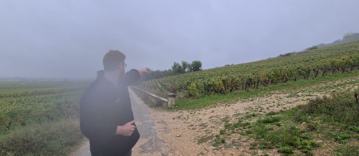 Clos de la Roche Grand Cru - The French Wine Centre