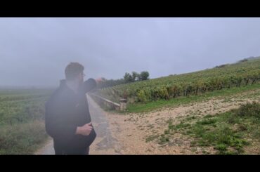 Clos de la Roche Grand Cru - The French Wine Centre
