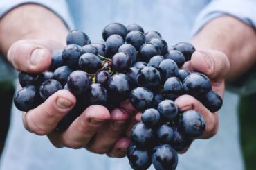 St  Emillion, France REV 3 14 21