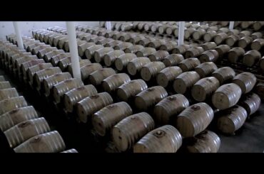 Franschhoek Wine Tram - Plaisir de Merle