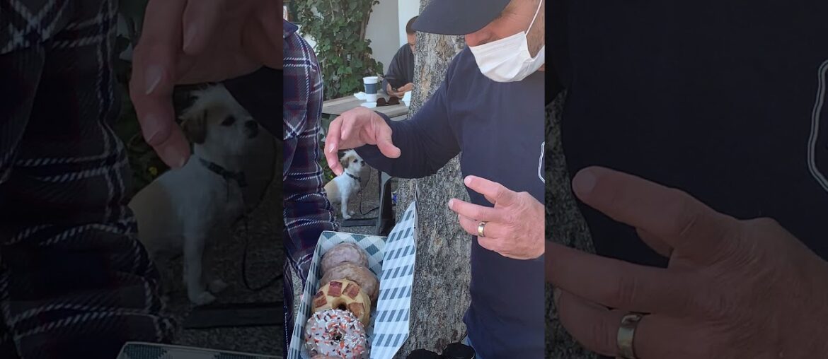 FF Feature Friday at JD Flannel Doughnuts