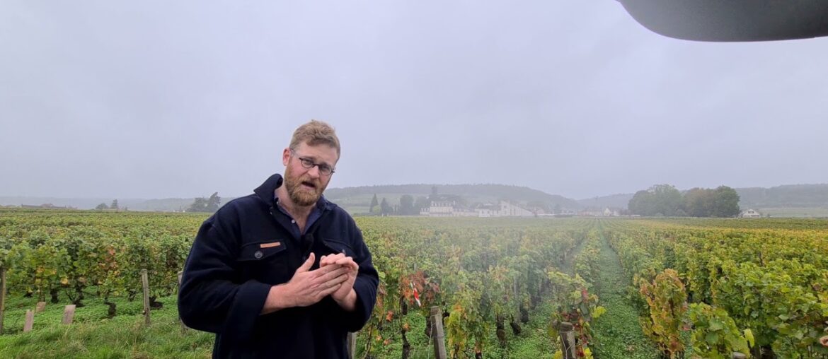 Morey St. Denis 1er Cru 'Les Blanchards'