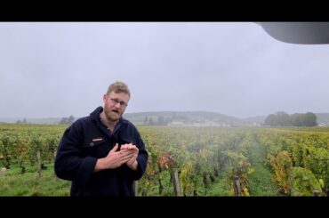 Morey St. Denis 1er Cru 'Les Blanchards'