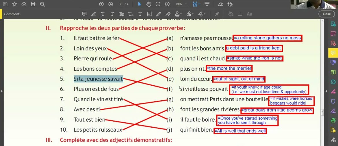 3) CBSE FRENCH Class 10 Chapter 1 Retrouvons Nos Amis Part III