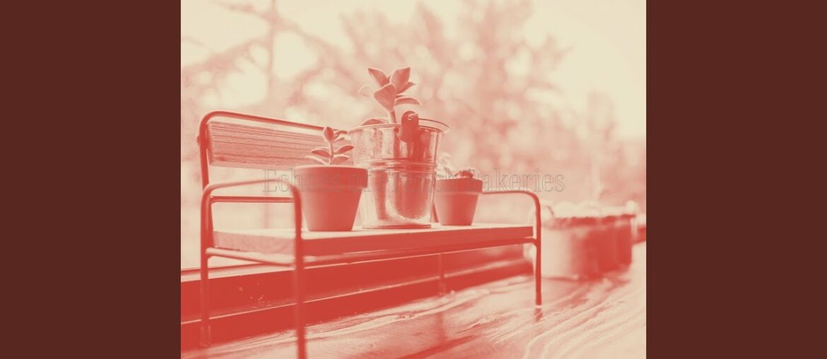 Easy Ambiance for French Restaurants