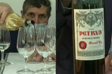 French experts "delighted" as "celestial" vines and wines return from space | AFP