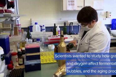 WEB EXTRA: Wine  In Space