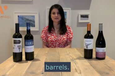 VinoMojo: Introduction to Malbec