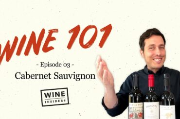 Cabernet Sauvignon Wine 101