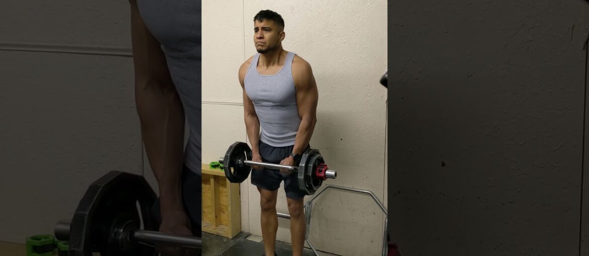 French bar bicep curls