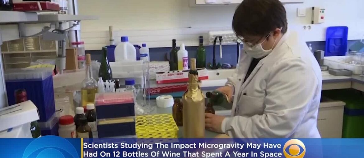 Here’s What Fine Wine Tastes Like A Year After Scientists Blasted It Into Space