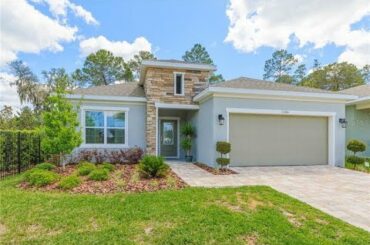 Residential for sale in Riverview, FL - 11406 TANNER RIDGE PLACE