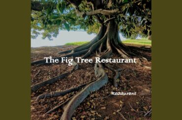 French Quarter Restaurant