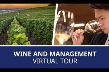 Wine & Management Virtual Tour