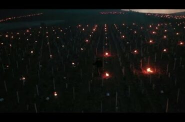 Chablis winemakers fight frost with candles in vineyards