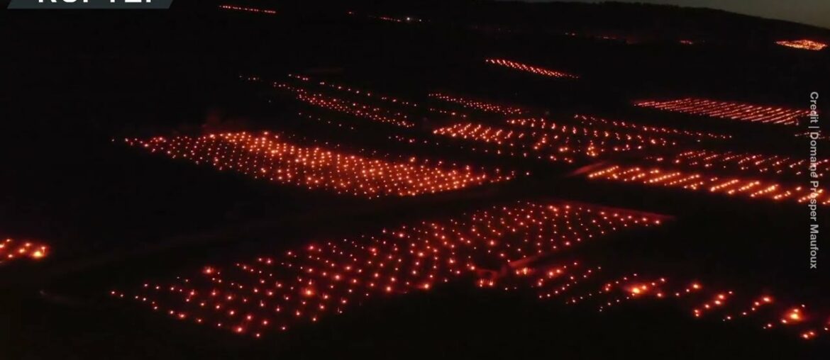 Thousands of candles light up sky over France’s Saint-Aubin as farmers protect vineyards from frost