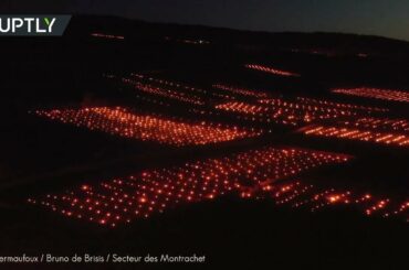 Thousands of candles light up sky over France’s Saint-Aubin as farmers protect vineyards from frost