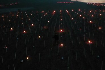 Fighting Frost With Fire! French Winemakers Use Hundreds of Candles To Fight Freezing Spring Temps!