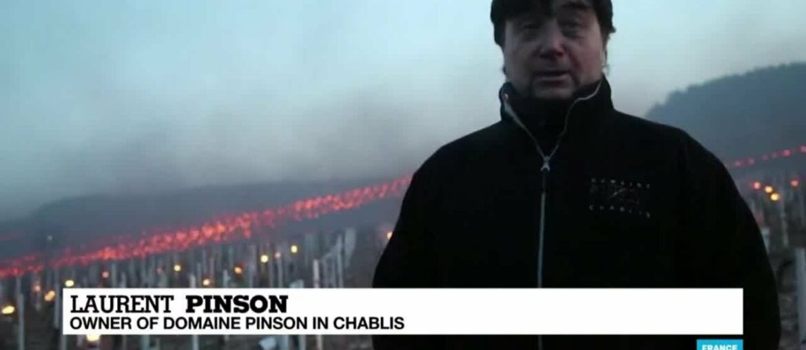 French farming: Nights of frost destroy grape, fruit harvests French farming: Nights of frost destroy grape, fruit harvests