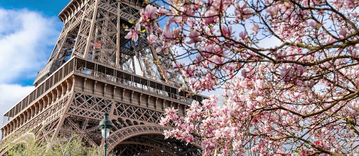 PARIS IS BLOOMING Spring in France THINGS TO DO IN PARIS IN SPRING below the video Travel vlog PARIS IS BLOOMING Spring in France THINGS TO DO IN PARIS IN SPRING below the video Travel vlog