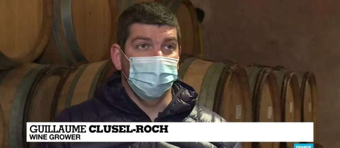 French winemakers count cost of 'worst frost in decades' French winemakers count cost of 'worst frost in decades'
