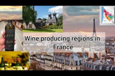 Wine producing regions in France|Wine France Boreduex