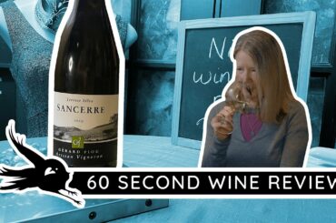 Domaine Gerard Fiou's Sancerre Blanc | Niche Wine Review