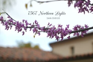 7467 Northern Lights - Julie Feld - 619-417-3638