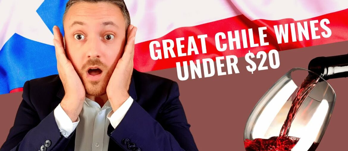 Great Value CHILE Wines Under $20 | 2021 [Discover the best wines from Chile at a fair price]