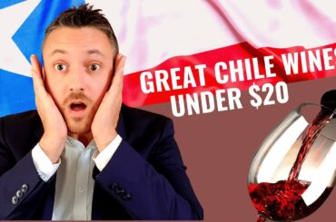 Great Value CHILE Wines Under $20 | 2021 [Discover the best wines from Chile at a fair price]