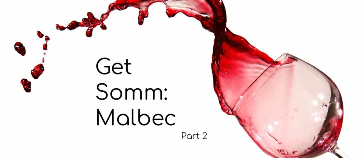 5 to Wine Time Get Somm: A Great Malbec under $20