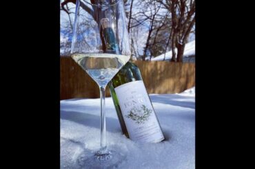 Chateau Fontoy 2019 Entre-Deux-Mers White Bordeaux Wine Tasting