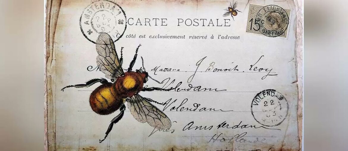 Top 10 Monahan Papers 50 French Country Honey Bee Disposable Paper Placemats for Table | Decorative Top 10 Monahan Papers 50 French Country Honey Bee Disposable Paper Placemats for Table | Decorative