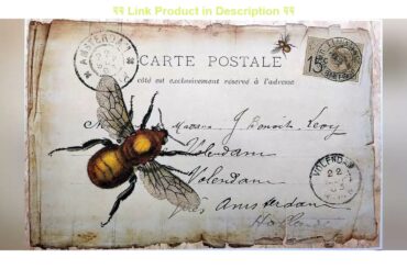 Top 10 Monahan Papers 50 French Country Honey Bee Disposable Paper Placemats for Table | Decorative