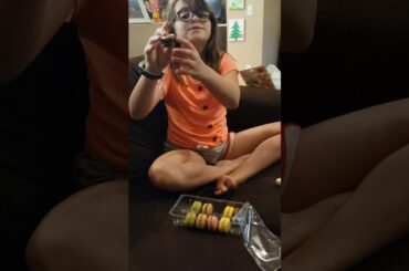 Macaron Tasting Time. Joey tries somthinng new. #macarons #bougiecookie