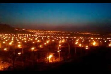 France Declares EMERGENCY as Freak Cold Snap WIPES OUT 1/3 of Wine Crop & Other Produce!