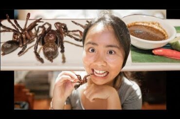 Tarantula Fine Dining | CAMBODIA