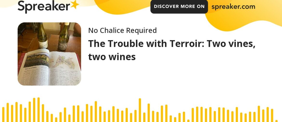 The Trouble with Terroir: Two vines, two wines (part 1 of 2)