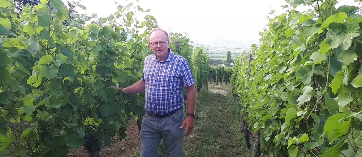 Michel Fonne from Alsace, France Michel Fonne from Alsace, France