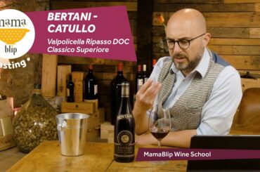 Bertani - Catullo Valpolicella Ripasso DOCG 2017