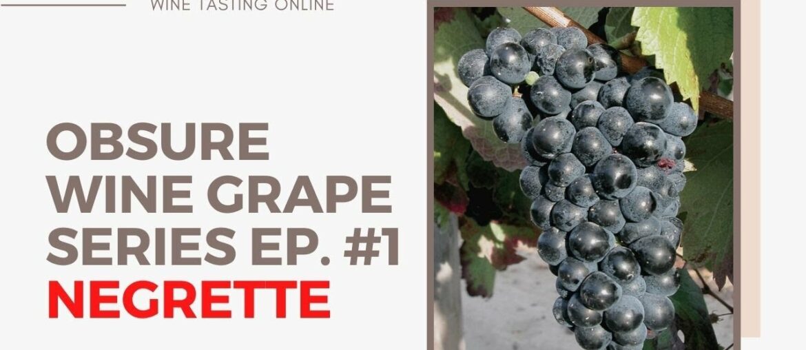 The Obscure Wine Grape Series – Ep.#1 – Negrette The Obscure Wine Grape Series - Ep.#1 - Negrette