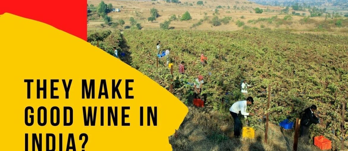 The Best Wines in India – Vallonne, Charosa and Fratelli Wines The Best Wines in India - Vallonne, Charosa and Fratelli Wines