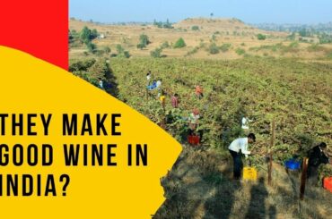 The Best Wines in India - Vallonne, Charosa and Fratelli Wines
